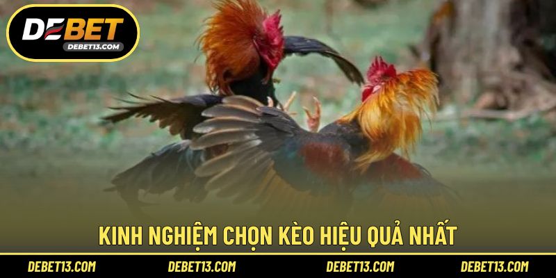 Kinh nghiệm chọn kèo hiệu quả nhất