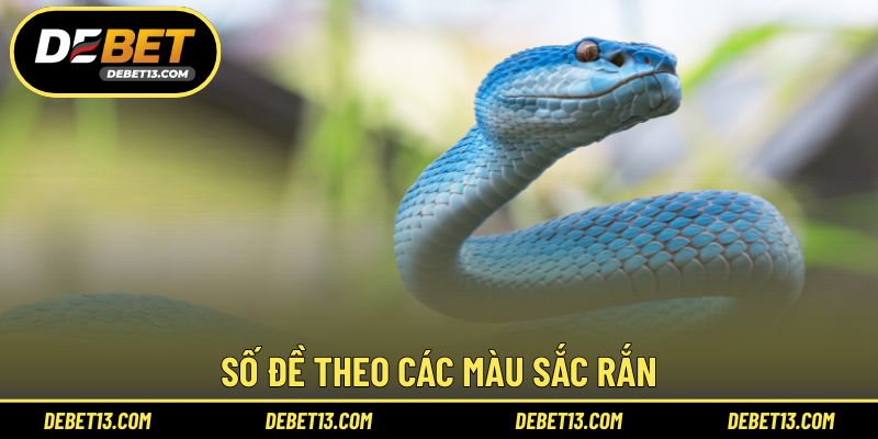 Số đề theo các màu sắc rắn