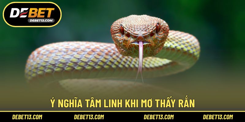 Ý nghĩa tâm linh khi mơ thấy rắn